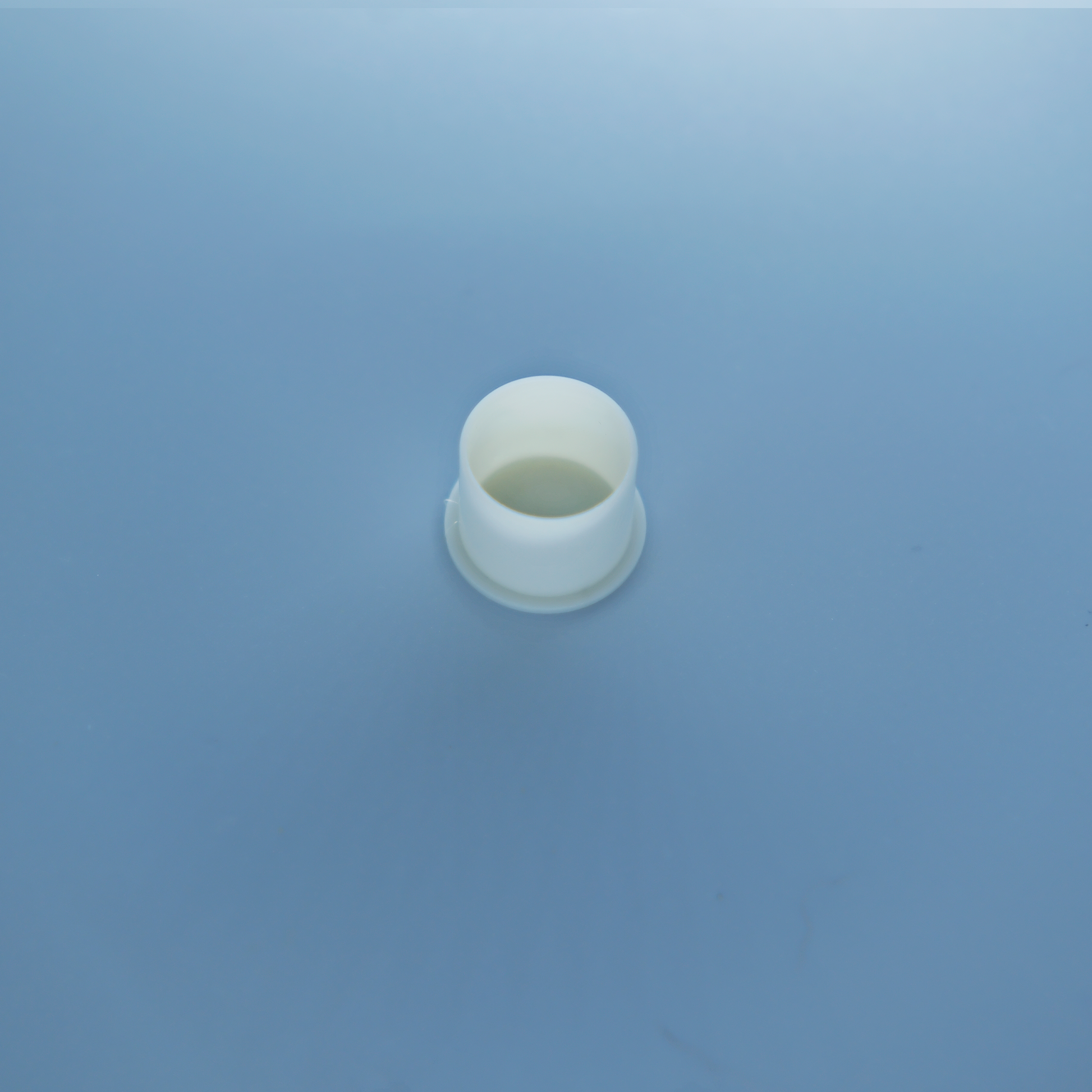 Ink Caps